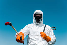 Reliable Meadow Vista, CA Pest Control Solutions